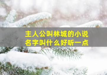 主人公叫林城的小说名字叫什么好听一点