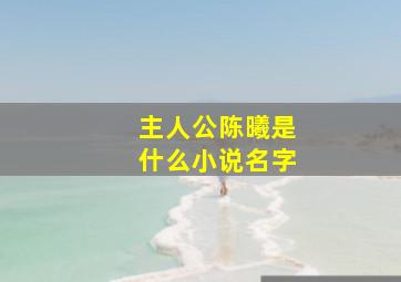 主人公陈曦是什么小说名字