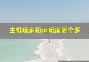 主机玩家和pc玩家哪个多