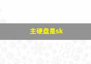 主硬盘是sk