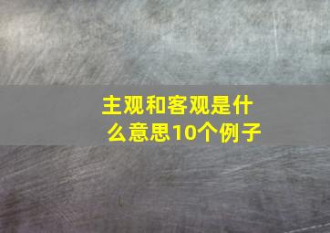 主观和客观是什么意思10个例子