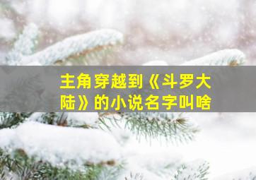 主角穿越到《斗罗大陆》的小说名字叫啥