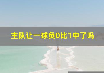 主队让一球负0比1中了吗