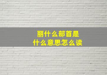 丽什么部首是什么意思怎么读