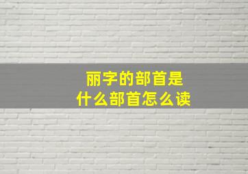 丽字的部首是什么部首怎么读