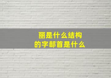 丽是什么结构的字部首是什么