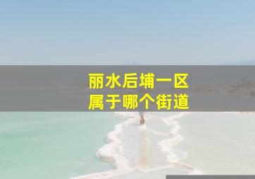 丽水后埔一区属于哪个街道