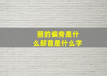 丽的偏旁是什么部首是什么字