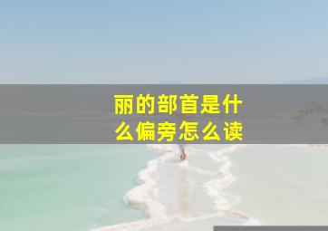 丽的部首是什么偏旁怎么读