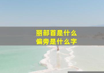 丽部首是什么偏旁是什么字