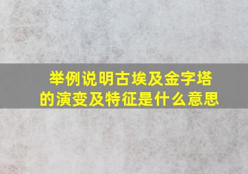 举例说明古埃及金字塔的演变及特征是什么意思