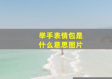 举手表情包是什么意思图片