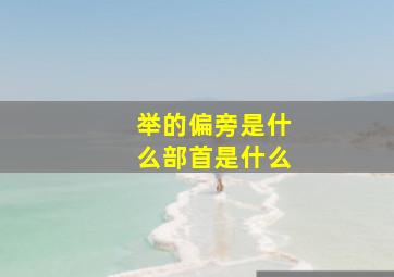 举的偏旁是什么部首是什么