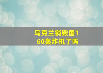 乌克兰销毁图160轰炸机了吗