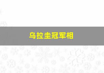 乌拉圭冠军相