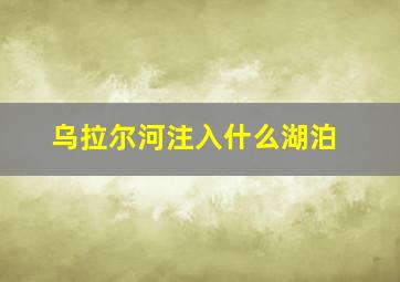 乌拉尔河注入什么湖泊