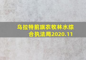 乌拉特前旗农牧林水综合执法局2020.11