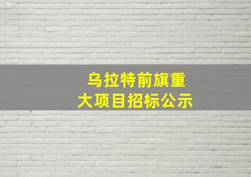 乌拉特前旗重大项目招标公示