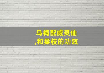 乌梅配威灵仙,和桑枝的功效