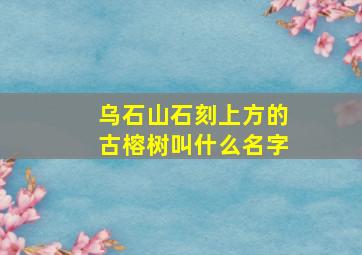 乌石山石刻上方的古榕树叫什么名字