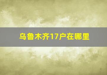 乌鲁木齐17户在哪里