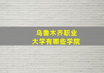 乌鲁木齐职业大学有哪些学院