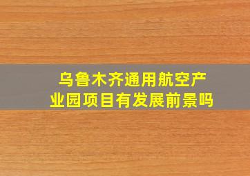 乌鲁木齐通用航空产业园项目有发展前景吗