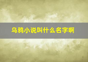 乌鸦小说叫什么名字啊