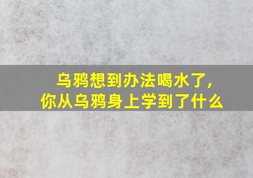 乌鸦想到办法喝水了,你从乌鸦身上学到了什么