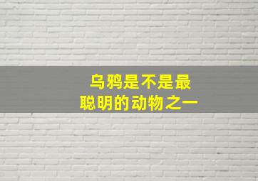 乌鸦是不是最聪明的动物之一