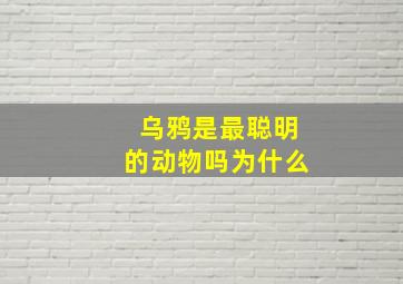 乌鸦是最聪明的动物吗为什么