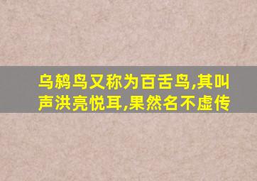 乌鸫鸟又称为百舌鸟,其叫声洪亮悦耳,果然名不虚传