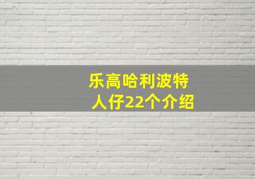 乐高哈利波特人仔22个介绍