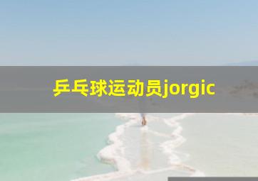 乒乓球运动员jorgic