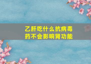 乙肝吃什么抗病毒药不会影响肾功能