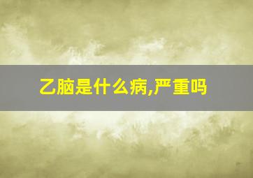 乙脑是什么病,严重吗