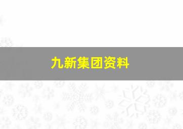 九新集团资料