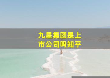 九星集团是上市公司吗知乎