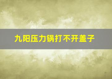 九阳压力锅打不开盖子