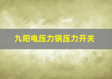 九阳电压力锅压力开关