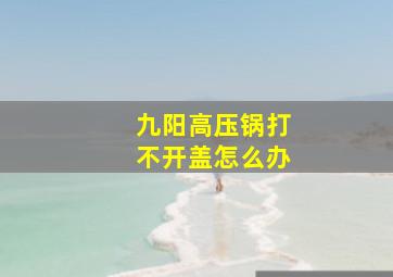 九阳高压锅打不开盖怎么办