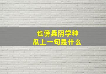 也傍桑阴学种瓜上一句是什么