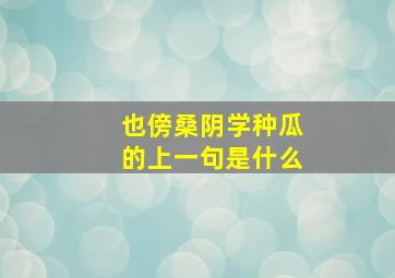 也傍桑阴学种瓜的上一句是什么