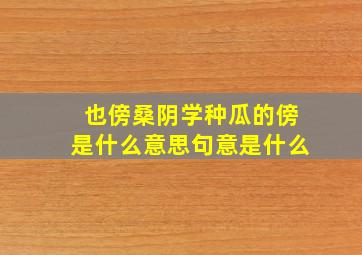 也傍桑阴学种瓜的傍是什么意思句意是什么