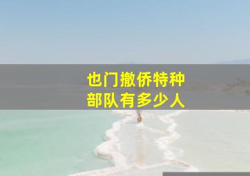 也门撤侨特种部队有多少人