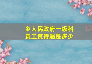 乡人民政府一级科员工资待遇是多少