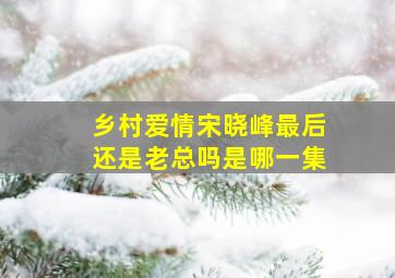 乡村爱情宋晓峰最后还是老总吗是哪一集