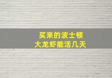 买来的波士顿大龙虾能活几天