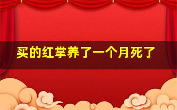 买的红掌养了一个月死了