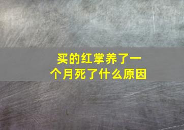 买的红掌养了一个月死了什么原因